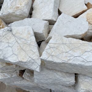 Austin Builders